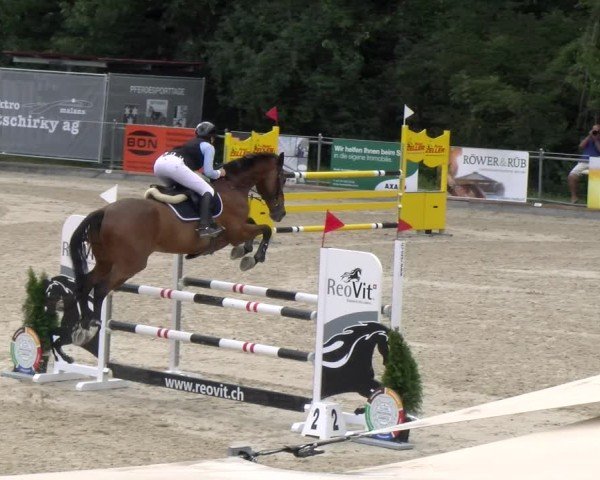 Reitturnier Maienfeld 2025
