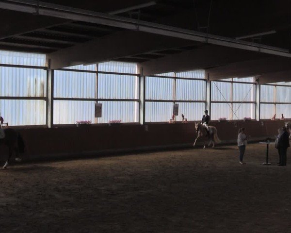 Reitturnier Herbern 2025