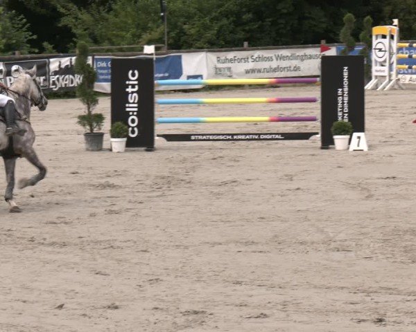 Reitturnier Vlotho-Exter 2025