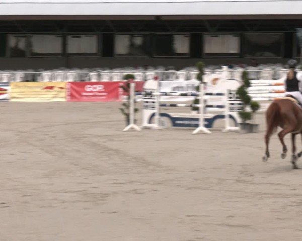 Reitturnier Vlotho-Exter 2025
