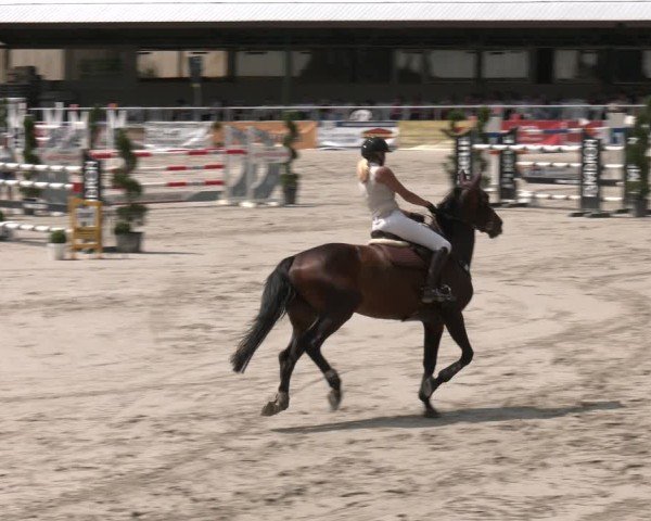 Reitturnier Vlotho-Exter 2025