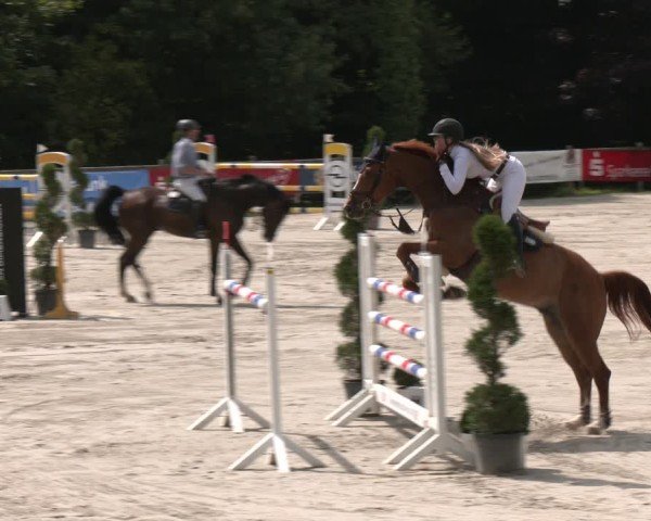 Reitturnier Vlotho-Exter 2025