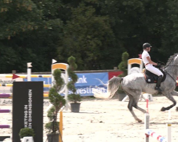 Reitturnier Vlotho-Exter 2025