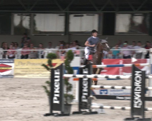 Reitturnier Vlotho-Exter 2025