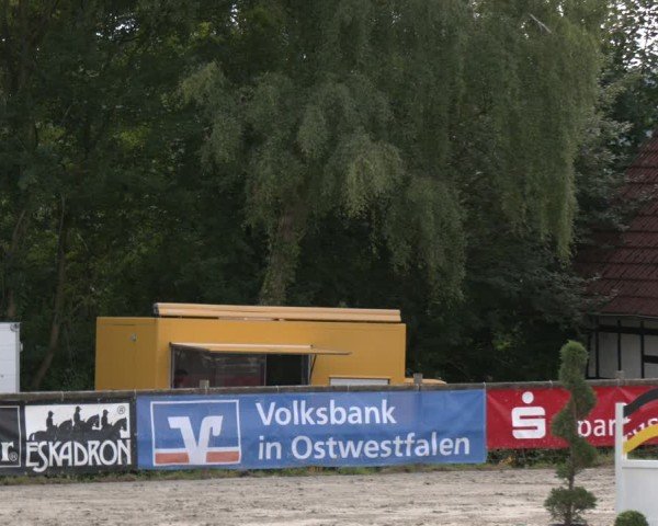 Reitturnier Vlotho-Exter 2025