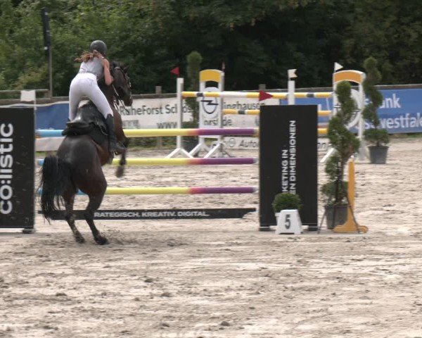 Reitturnier Vlotho-Exter 2025