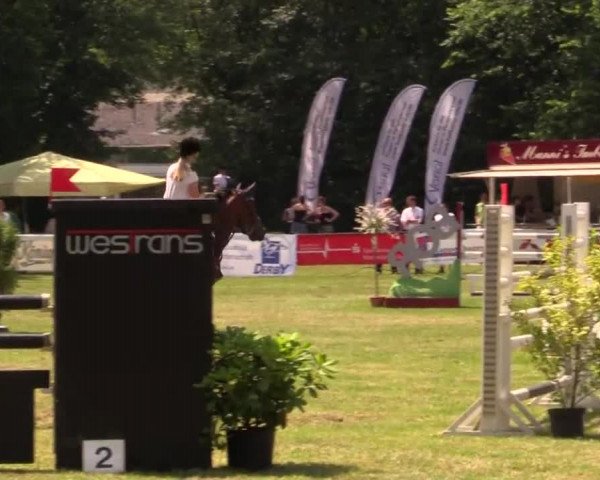 Pfingst - Dressur und Springturnier Borken 2014