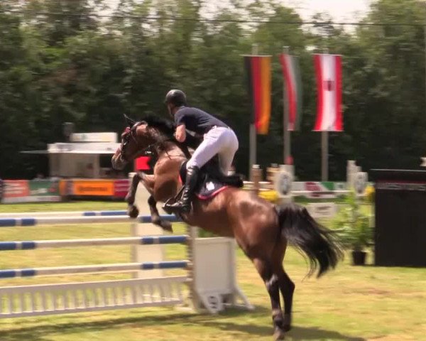 Pfingst - Dressur und Springturnier Borken 2014