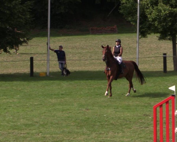 Reitturnier Seelitz 2025