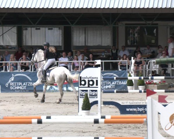 Reitturnier Vlotho-Exter 2025