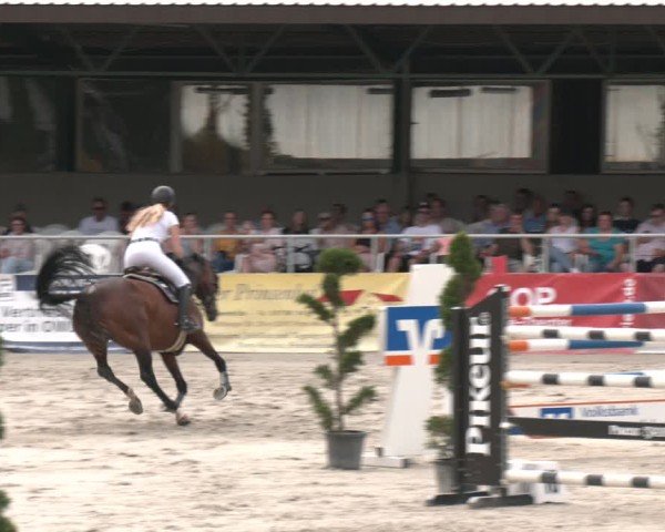 Reitturnier Vlotho-Exter 2025
