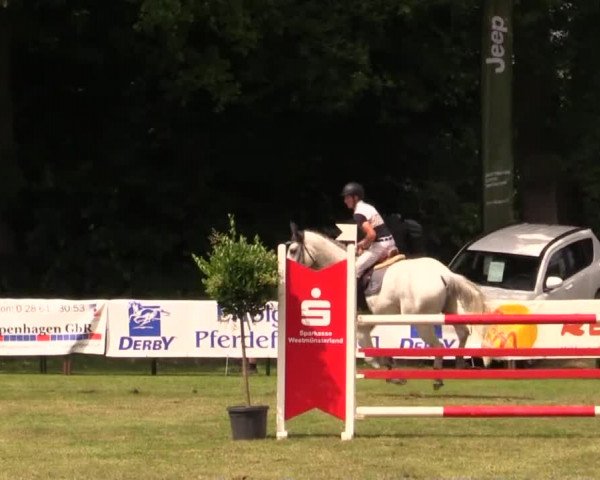 Pfingst - Dressur und Springturnier Borken 2014