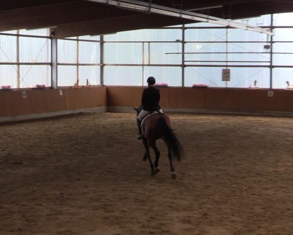 Reitturnier Herbern 2025