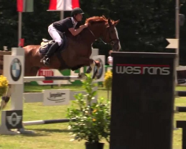Pfingst - Dressur und Springturnier Borken 2014