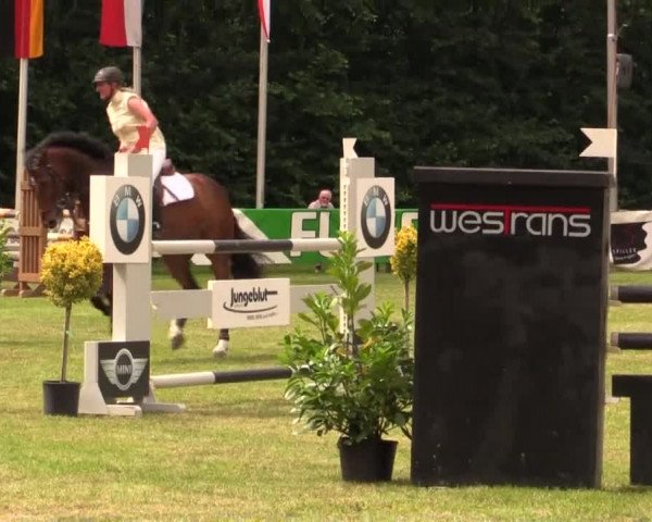 Pfingst - Dressur und Springturnier Borken 2014