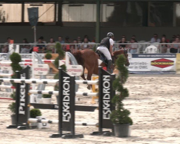 Reitturnier Vlotho-Exter 2025