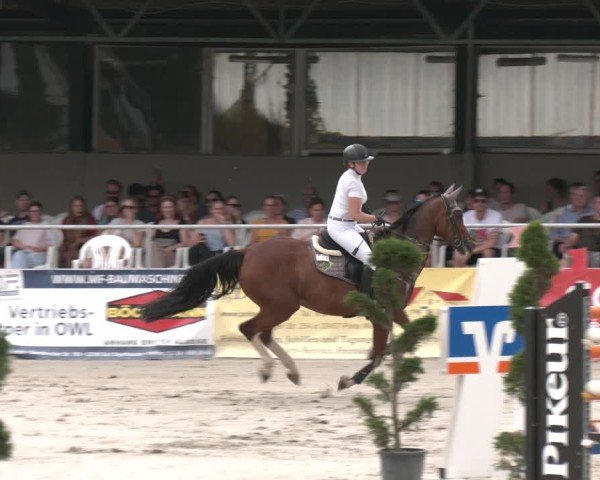Reitturnier Vlotho-Exter 2025