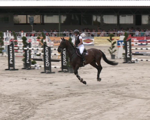 Reitturnier Vlotho-Exter 2025