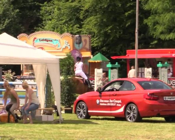 Pfingst - Dressur und Springturnier Borken 2014