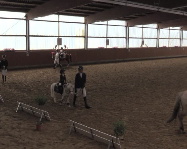 Reitturnier Herbern 2025