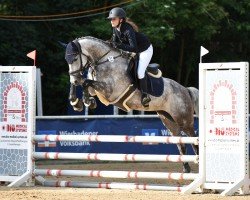 jumper Catch me if you can 62 (Holsteiner, 2018, from Catch)