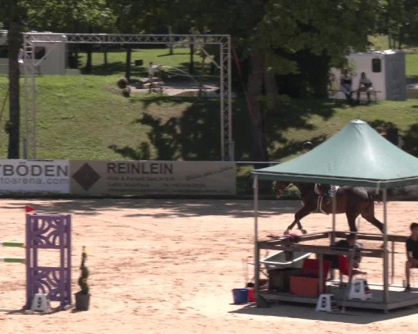 Reitturnier Stadl-Paura 2025