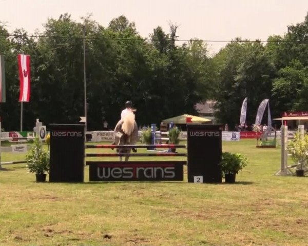 Pfingst - Dressur und Springturnier Borken 2014