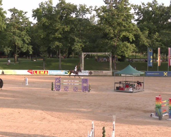 Reitturnier Stadl-Paura 2025