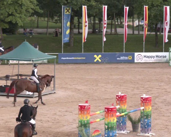 Reitturnier Stadl-Paura 2025
