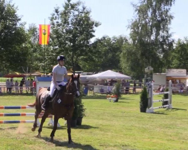 Pfingst-Reitturnier Kreuzkrug-Raddestorf 2014