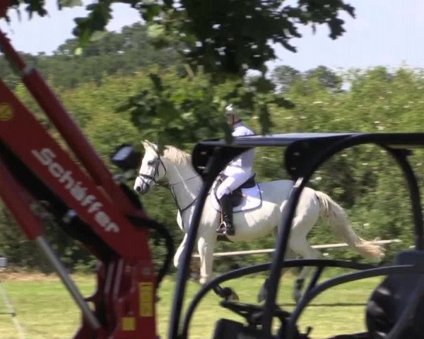 Pfingst-Reitturnier Kreuzkrug-Raddestorf 2014