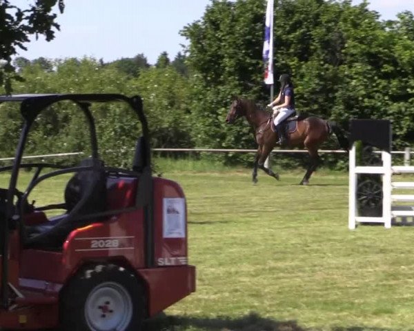 Pfingst-Reitturnier Kreuzkrug-Raddestorf 2014