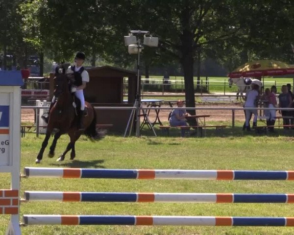 Pfingst-Reitturnier Kreuzkrug-Raddestorf 2014