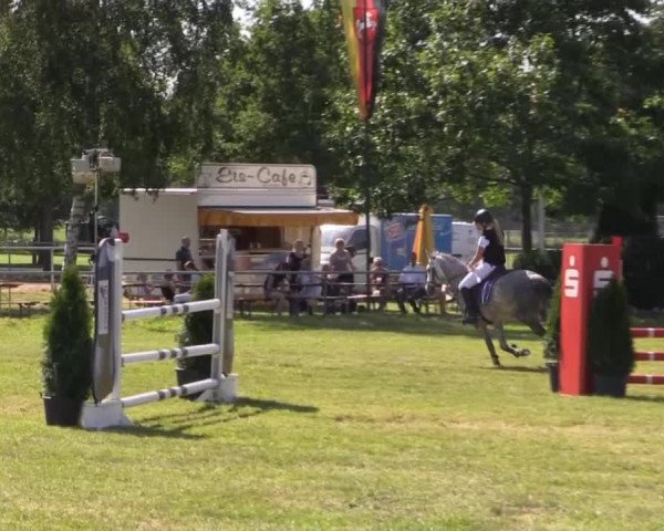 Pfingst-Reitturnier Kreuzkrug-Raddestorf 2014