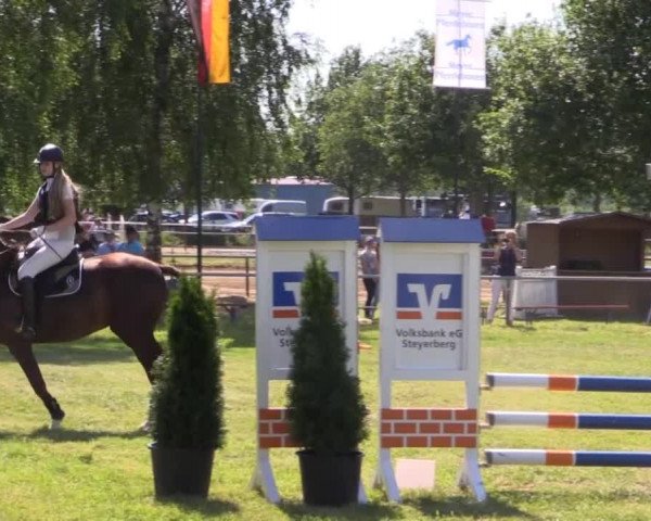 Pfingst-Reitturnier Kreuzkrug-Raddestorf 2014