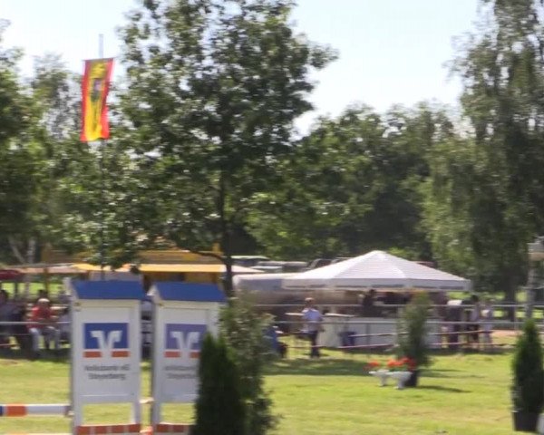 Pfingst-Reitturnier Kreuzkrug-Raddestorf 2014