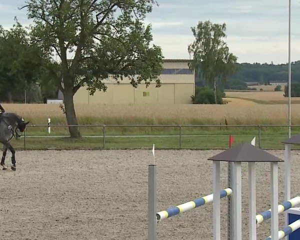 Reitturnier Rot am See- Musdorf 2025