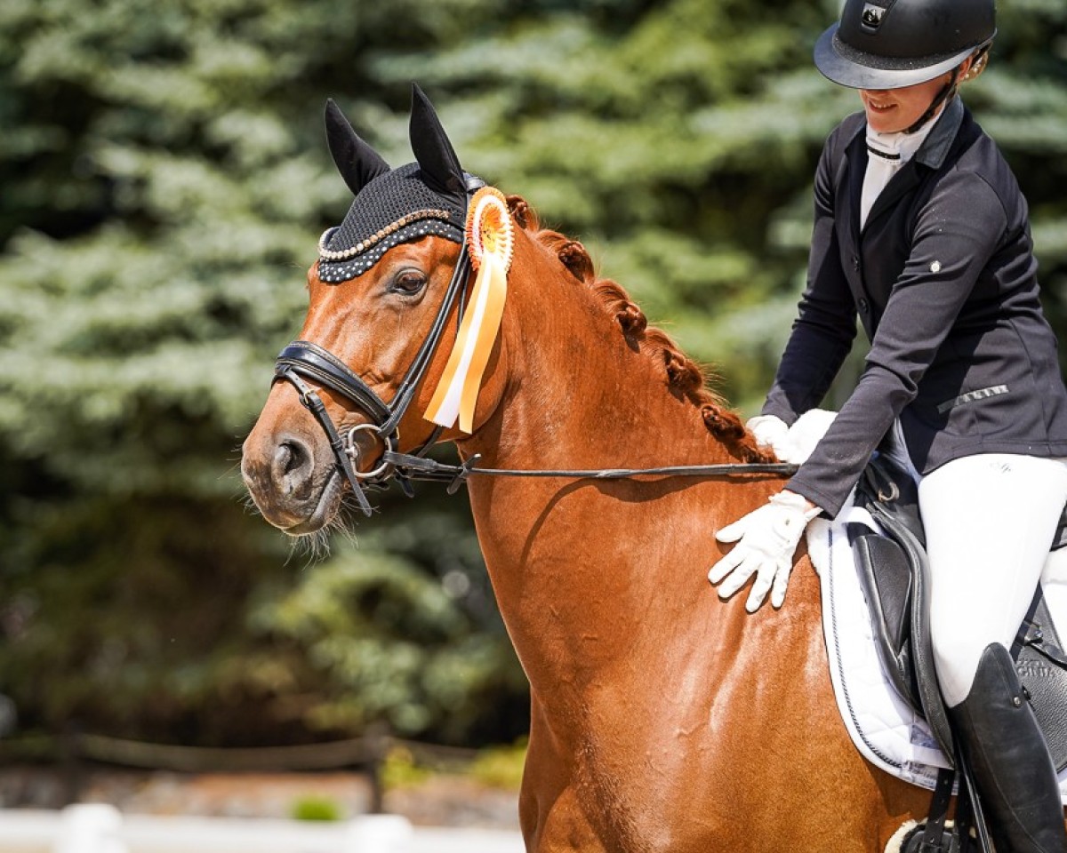 horse Feel Free 9 (Westphalian, 2018, from For Final)