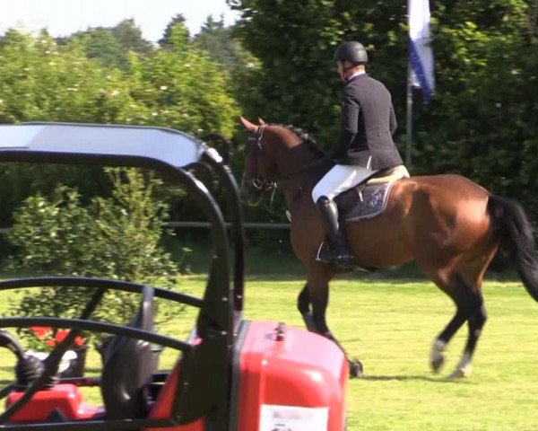 Pfingst-Reitturnier Kreuzkrug-Raddestorf 2014