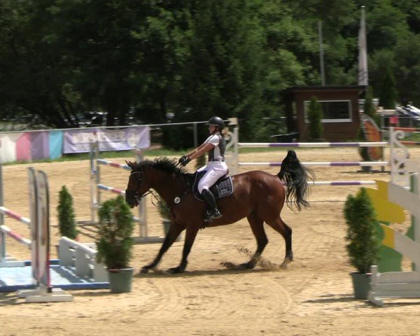 Reitturnier Bad Liebenstein/Sorga 2025