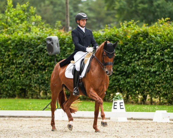 dressage horse Ellie Be Goode (Hanoverian, 2016, from Edward 28)