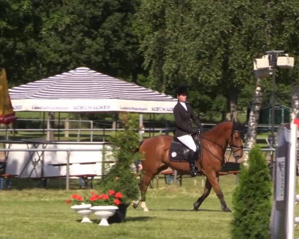 Pfingst-Reitturnier Kreuzkrug-Raddestorf 2014