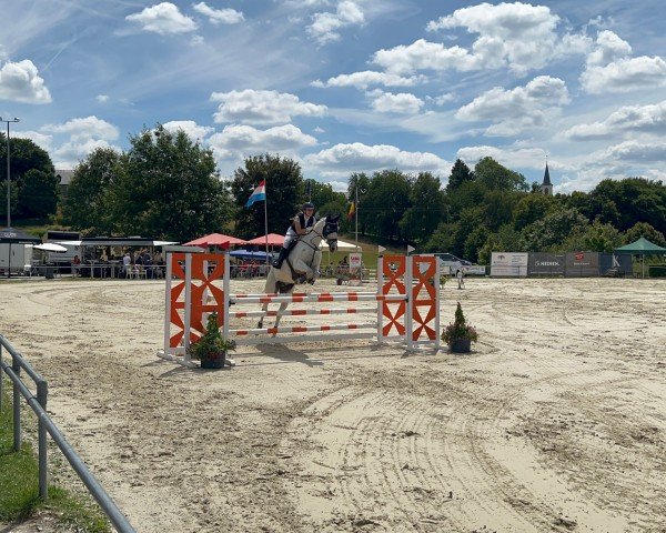 Springpferd Double R Bangkok und Walyro (Spanisches Sportpferd, 2013, von Toulon)