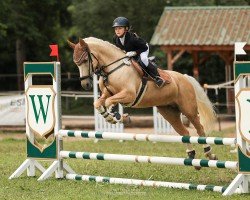 broodmare Hesselteichs Golden Rose (German Riding Pony, 2016, from Gandalf)