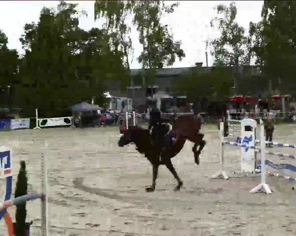 Reitturnier Herbern 2025