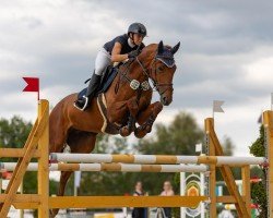 Cavallo da salto Casa Concordia Gb (Westfale, 2017, di L.b. Casanova)