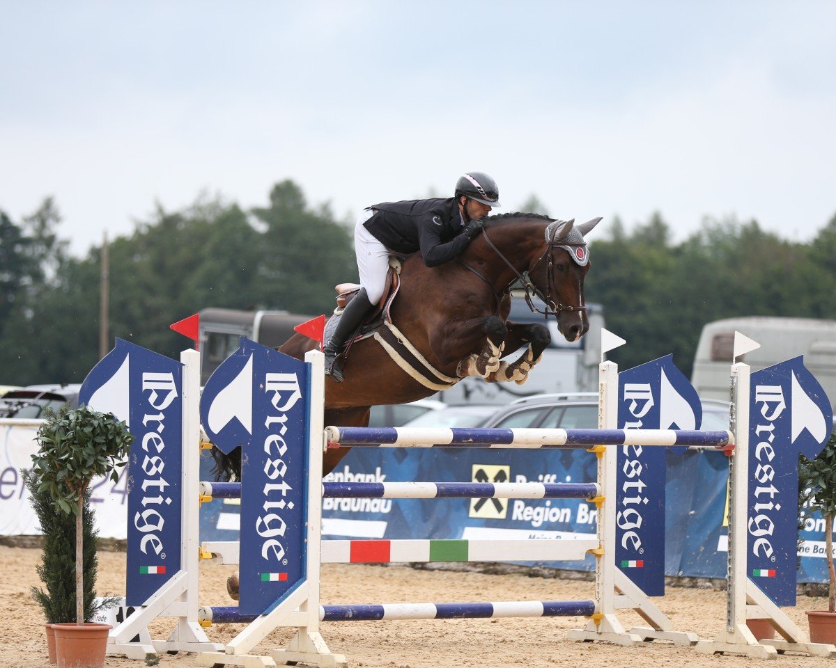 Springpaard Cornet's Best (Hannoveraan, 2016, van Cornet Obolensky)