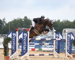 jumper Cornet's Best (Hanoverian, 2016, from Cornet Obolensky)