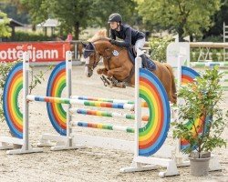 broodmare Navari G (German Riding Pony, 2019, from Rob Roy van Het Klavertje)