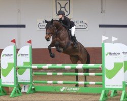 jumper By Cancara HS (Holsteiner, 2009, from Cancara)